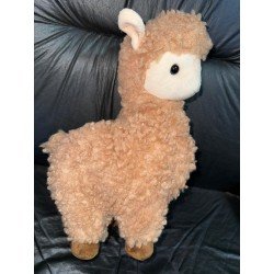 Llama
