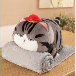 GATO ENOJADO CON MANTA