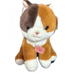 Gato sentado con collar huella
