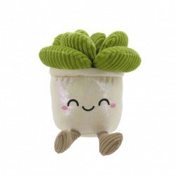 PLANTA CACTUS