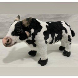 VACA