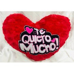 CORAZÓN TE QUIERO