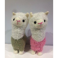 LLAMA MEDIANA